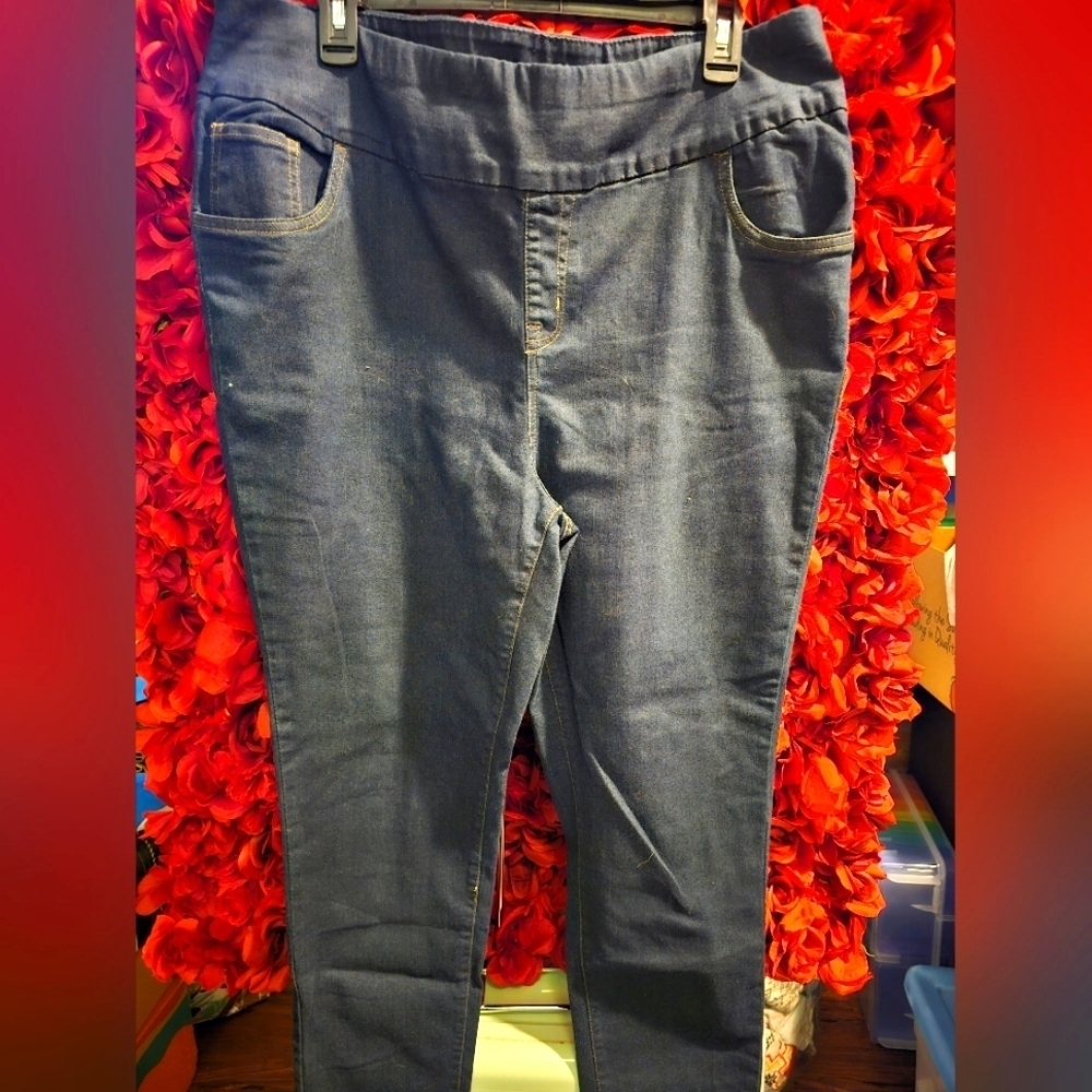 Woman Within Women's Size 22W Blue Jeans Leggings